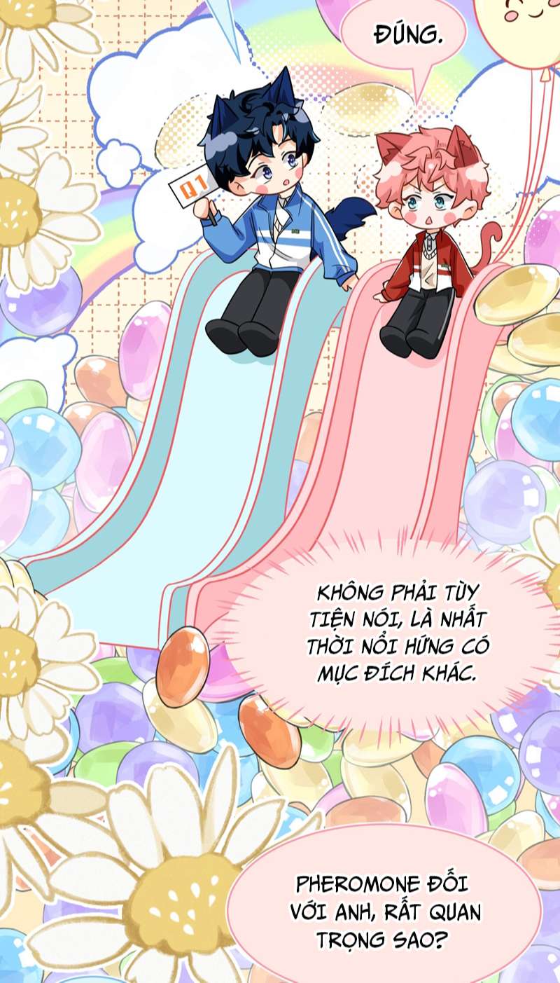 tín tức tố nói chúng ta không thể chapter 67 27