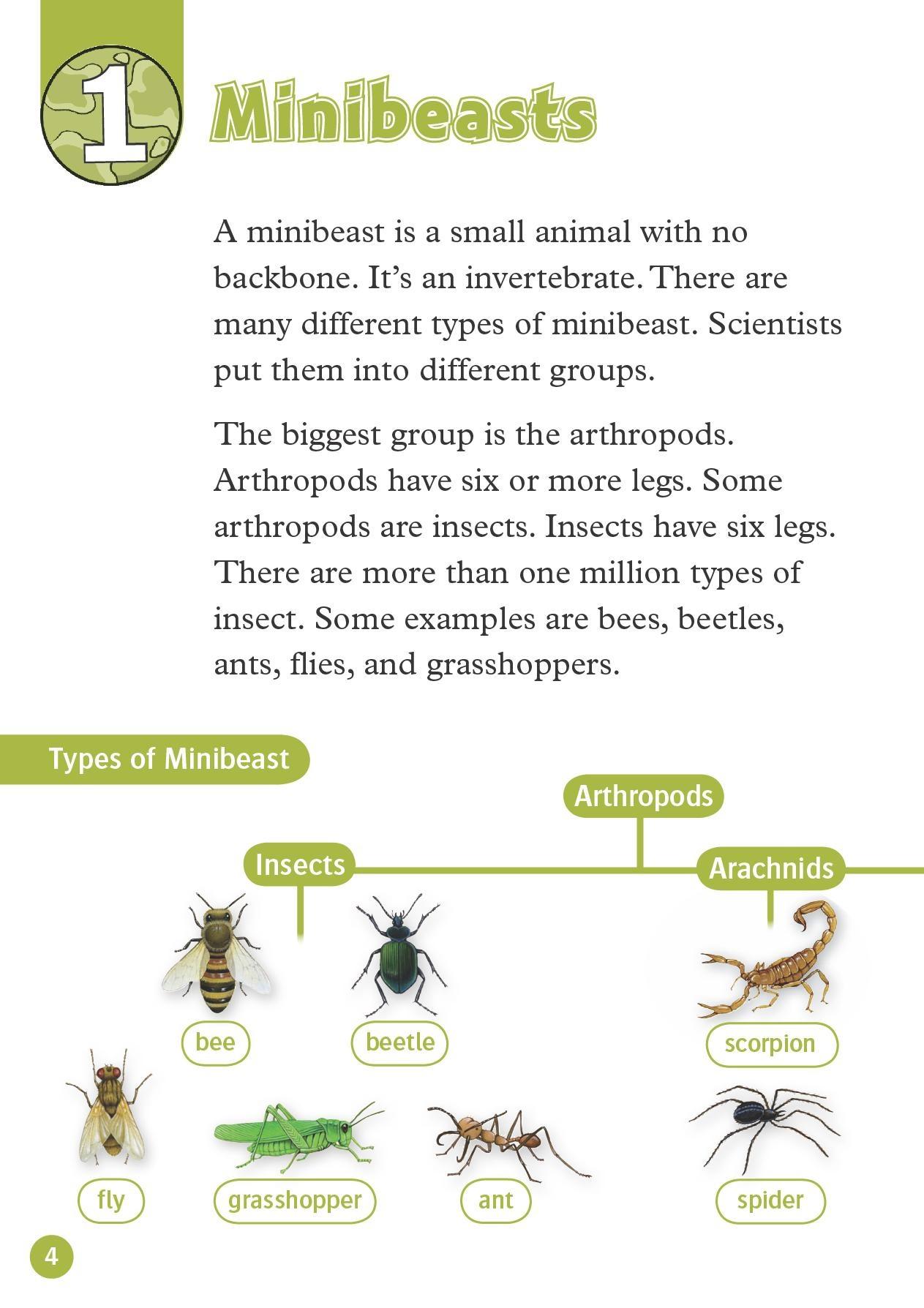 Oxford Read and Discover 3 Amazing Minibeasts