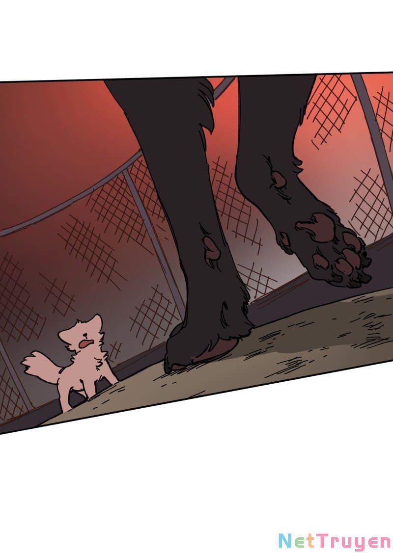 lumine - cội nguồn ánh sáng chapter 113 21