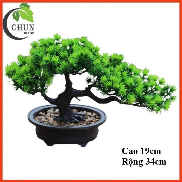 Cây thông giả, chậu cây bonsai cao 19-26cm để bàn, trang trí kệ, bàn làm việc tủ độc đáo