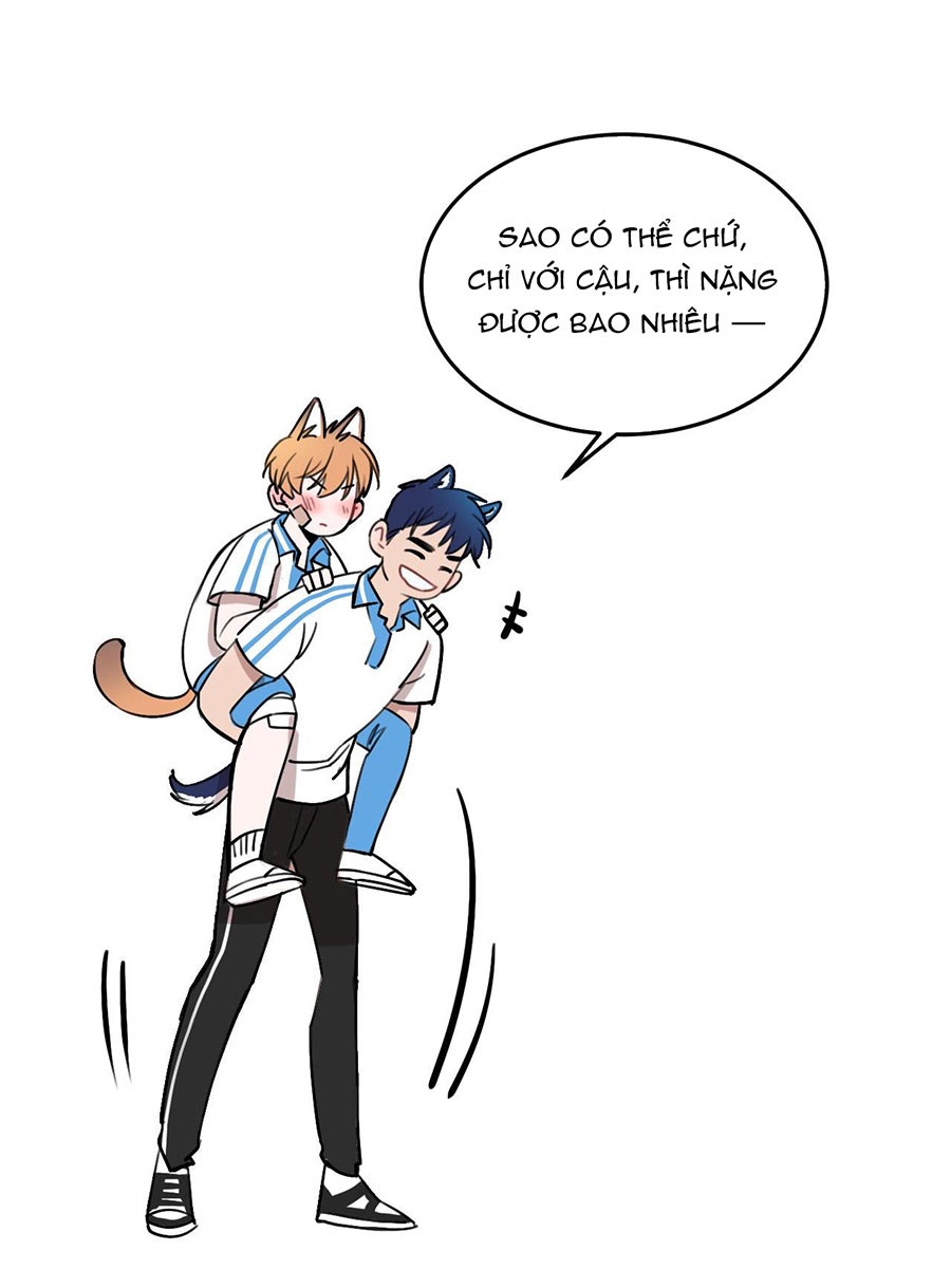 rốt cuộc bé mèo đang nghĩ gì ? chapter 13 35