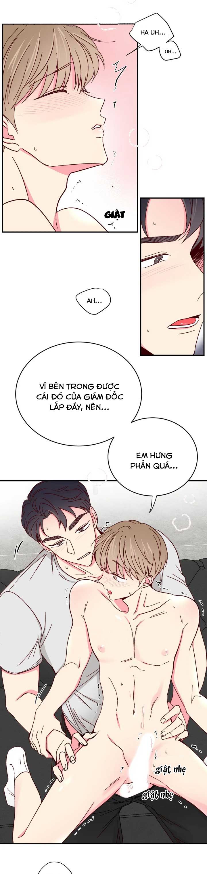 món tráng miệng của sếp tổng chapter 70 1