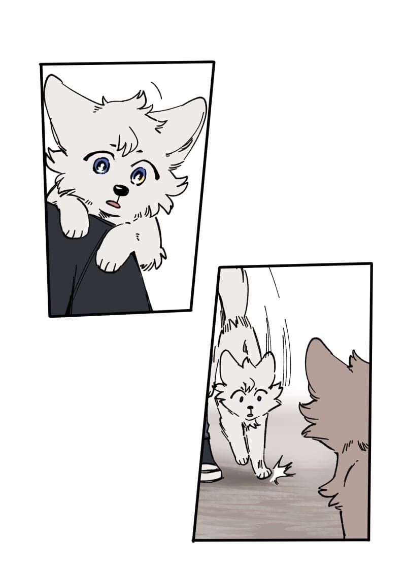 lumine - cội nguồn ánh sáng chapter 128 31