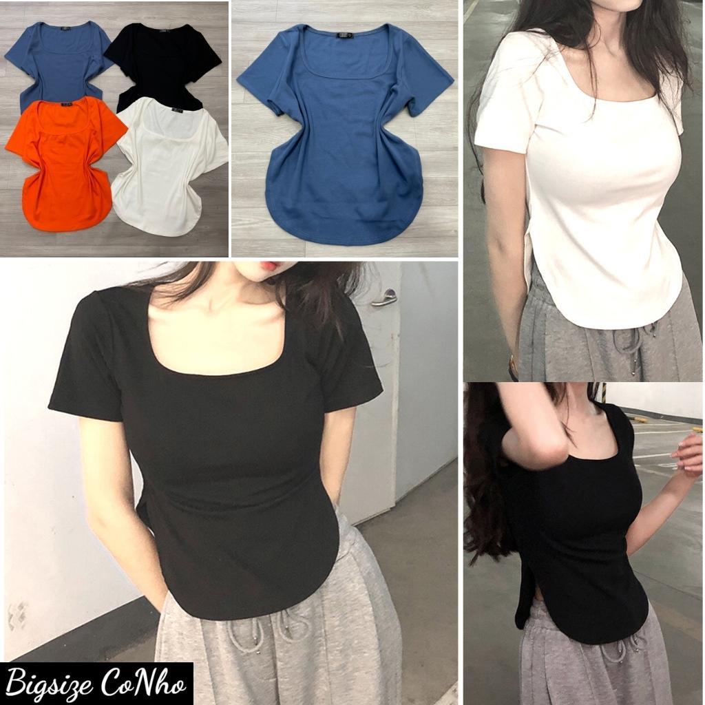 Áo thun bigsize nữ tay ngắn cổ tròn đuôi bầu croptop vải thun borip co giãn A25