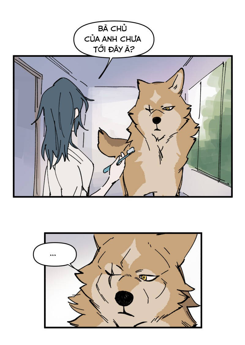 lumine - cội nguồn ánh sáng chapter 148 13