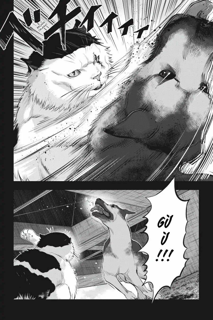 nyankees chapter 7 14