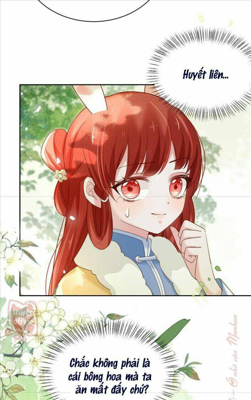 hắc hóa nam chính trực tuyến nuôi thỏ chapter 64 7