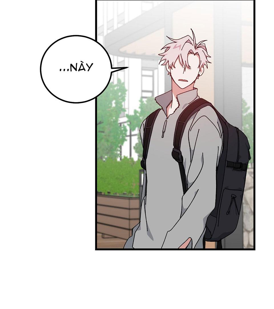 yêu tôi đi, thần hộ mệnh chapter 38 15