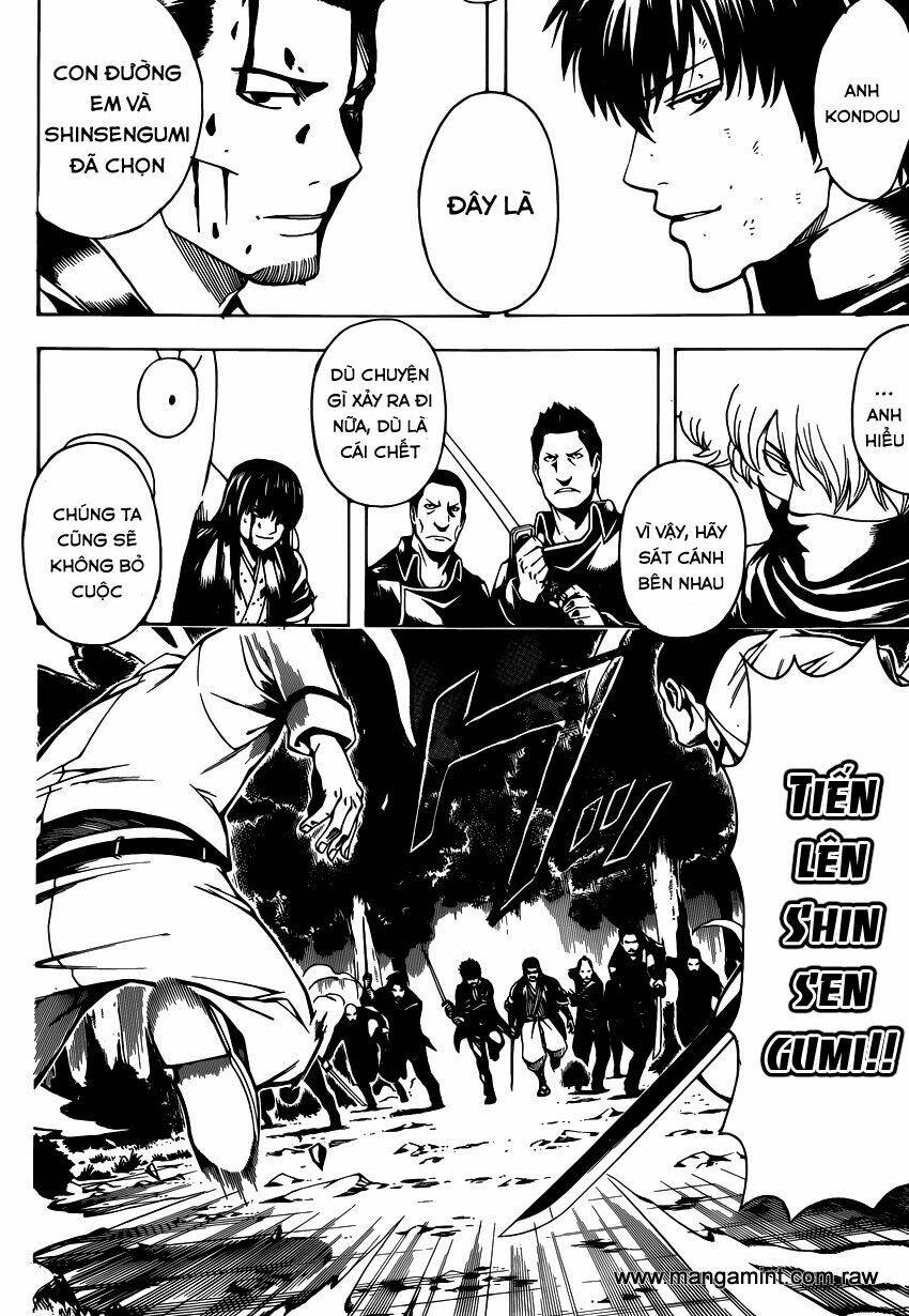 gintama - linh hồn bạc chapter 538 12
