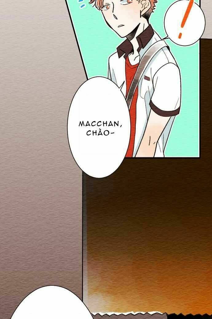 koe koi chapter 11 7