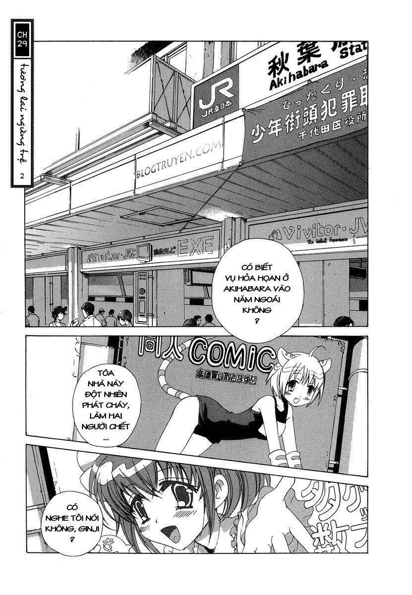 butterfly chapter 29 1