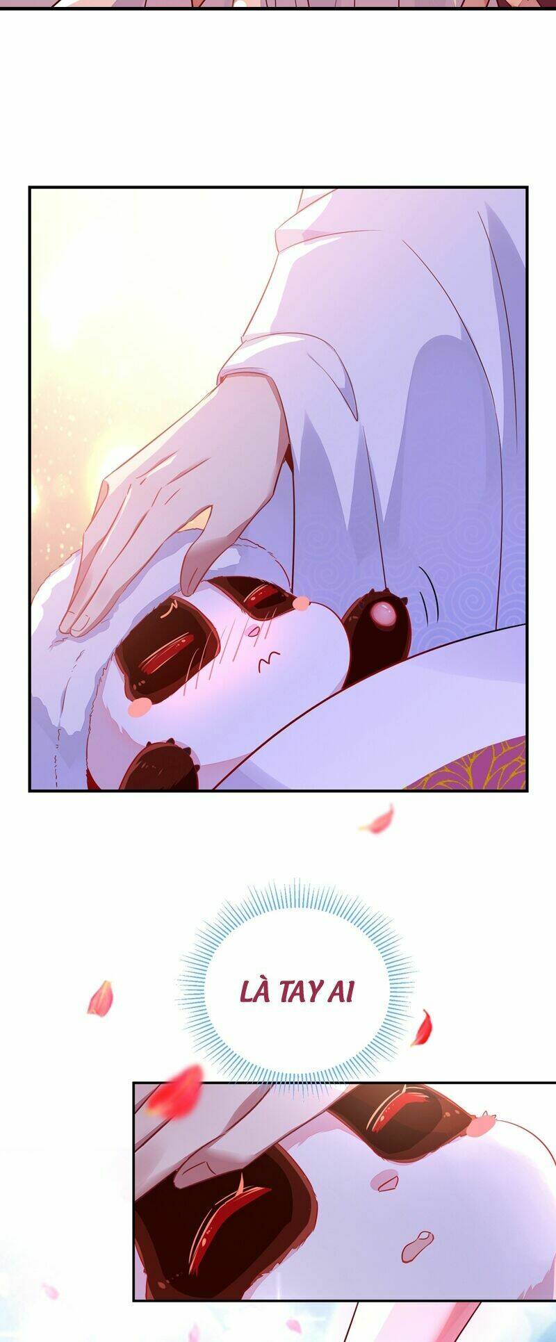 thiên thần gấu trúc muốn được ôm chapter 57 37