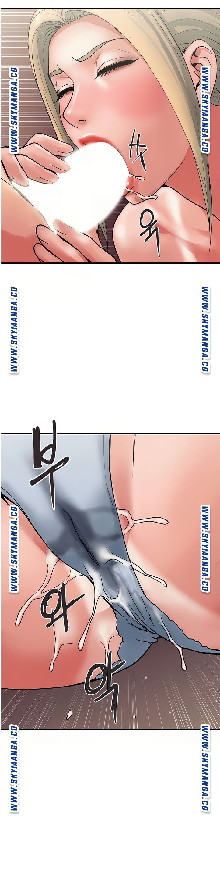 chất dẫn dục chapter 11 13