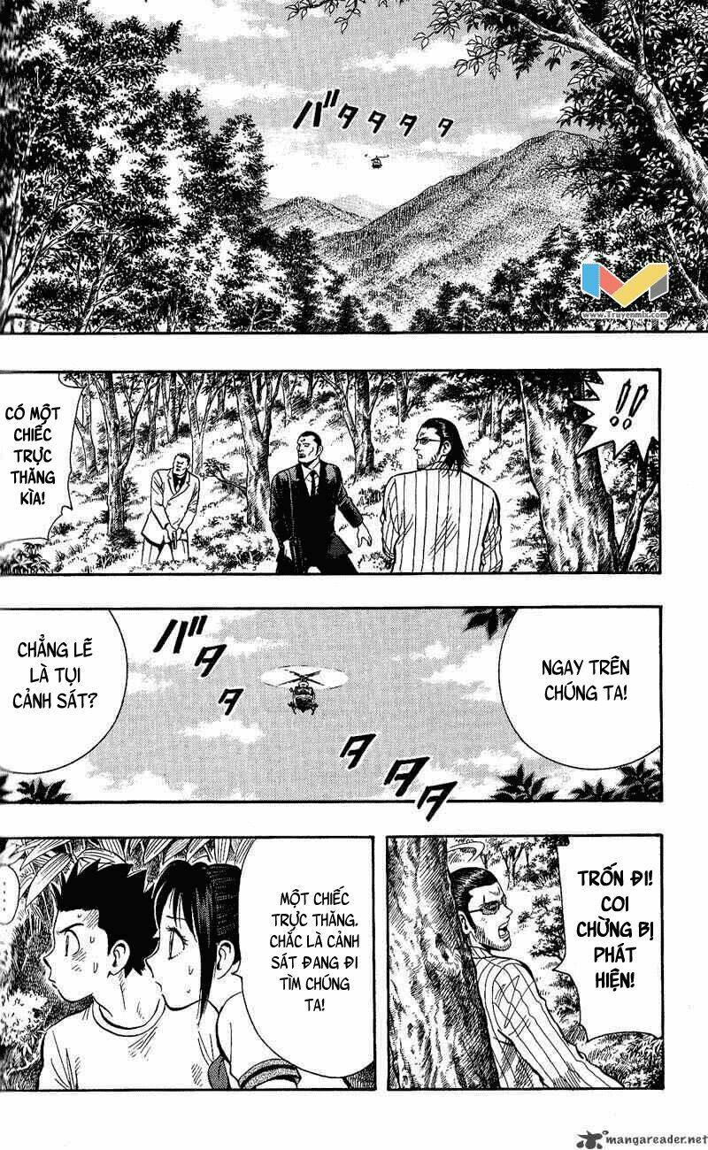 animal sense chapter 11 12