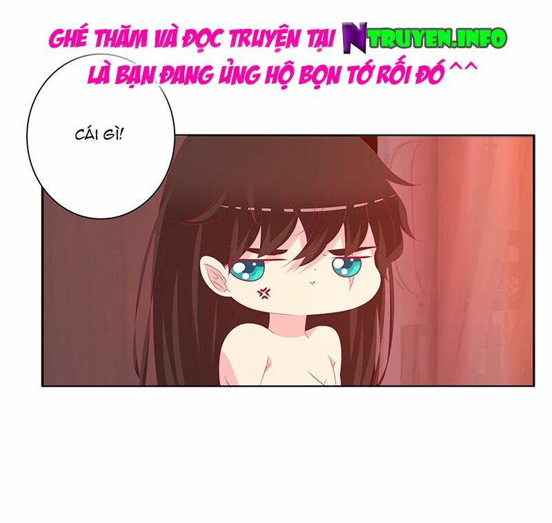 tướng quân mời ra trận chapter 137 16