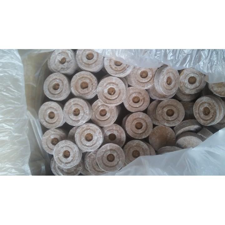 500 viên nén xơ dừa ươm hạt