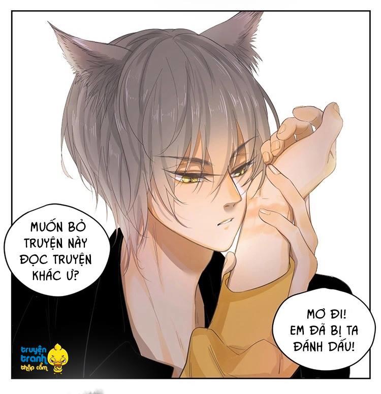 cứu mạng ! loài mèo thống trị thế giới rồi ! chapter 21 24