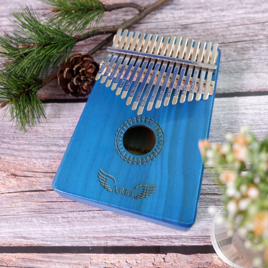 Combo Đàn Kalimba Ares K04 và Hộp chống sốc K02