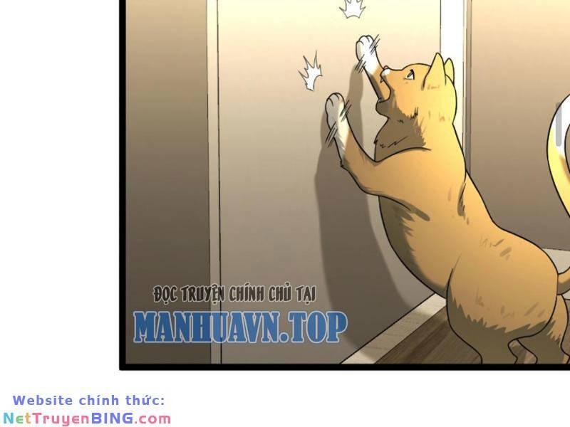 đóng băng toàn cầu: tôi gây dựng nên phòng an toàn thời tận thế chapter 184 23