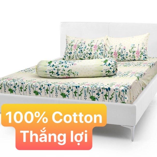 Bộ Drap Cotton THẮNG LỢI 4 món hoặc drap lẻ.1m8x2m