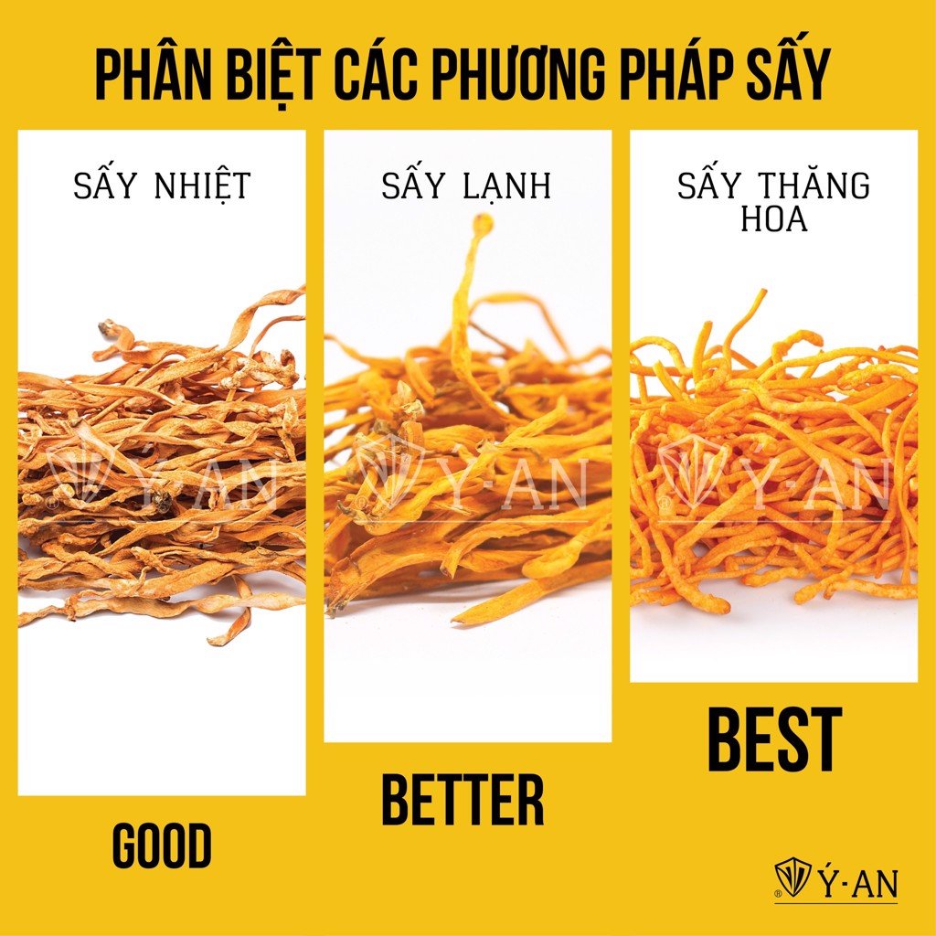 Đông trùng hạ thảo ,mật ong rừng Phúc Khang 300g - Hũ thủy tinh cao cấp - Công nghệ sấy thăng hoa - Chống lão hóa ,phòng ngừa ung thư ,tim mạch ,bồi bổ cơ thể ...làm quà biếu , quà tặng , bảo vệ sức khỏe , người thân , gia đ