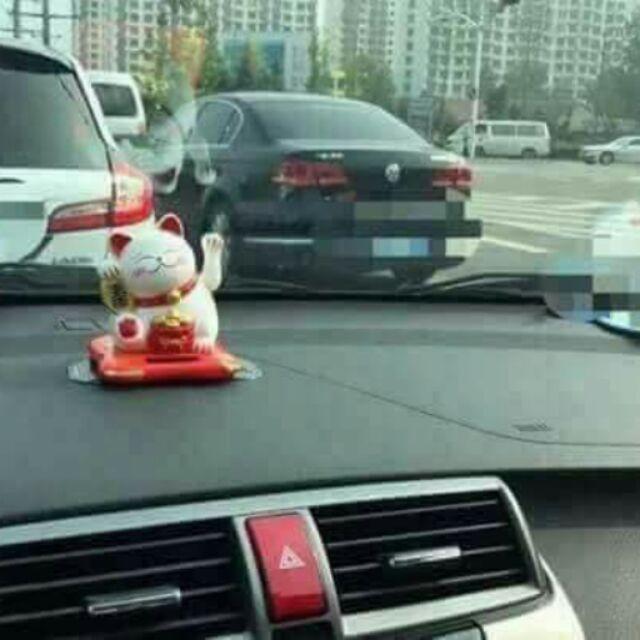 Mèo thần tài