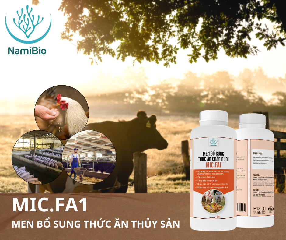 Men vi sinh bổ sung thức ăn chăn nuôi MIC.FA1 1kg
