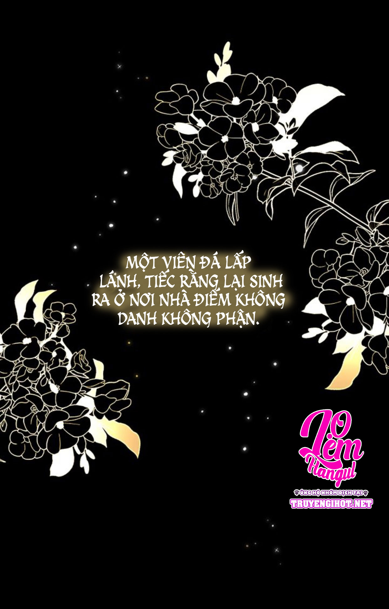 đi tìm nàng camellia chapter 1 28