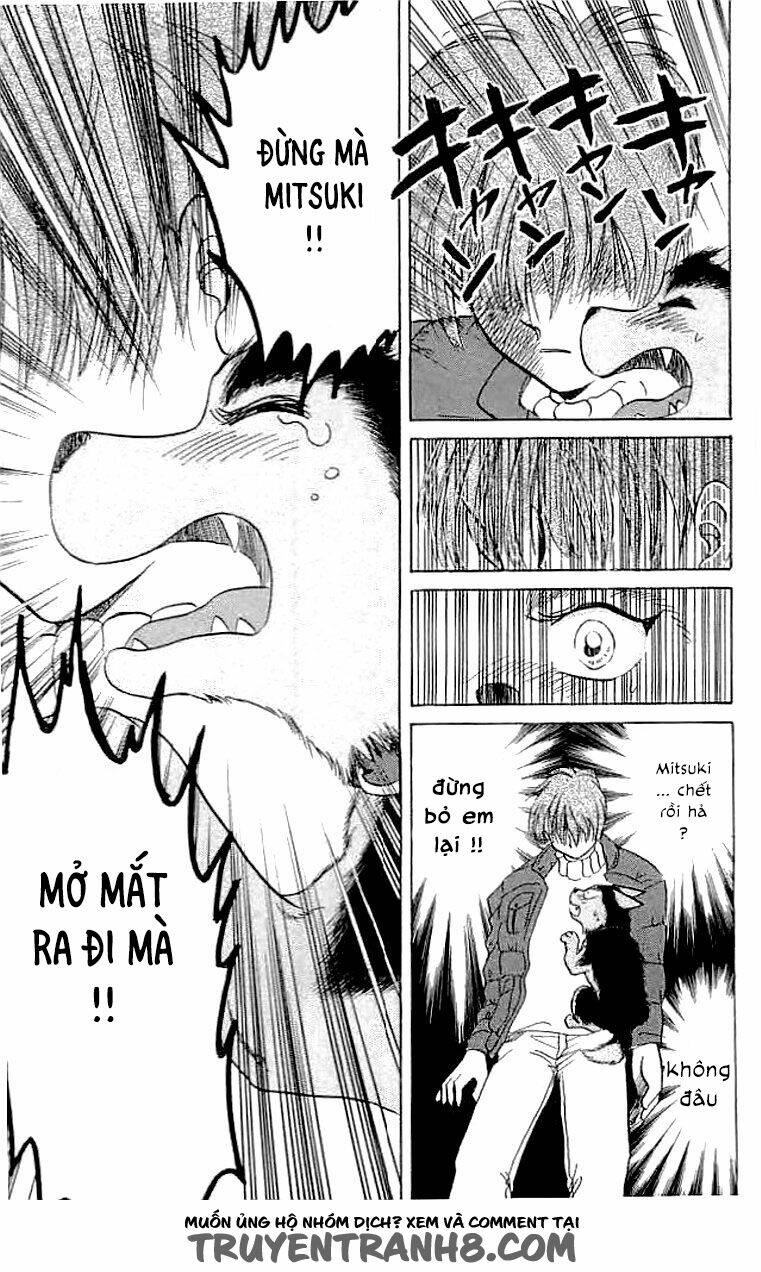 wild half chapter 6 11