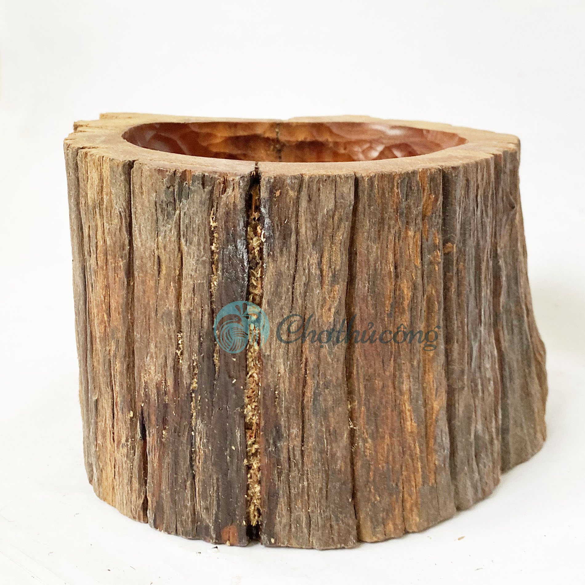 Chậu cây gỗ lũa tự nhiên cứng bền - Chậu gỗ trồng cây, chậu trồng sen đá lũa gỗ decor trang trí vintage (phát mẫu ngẫu nhiên)