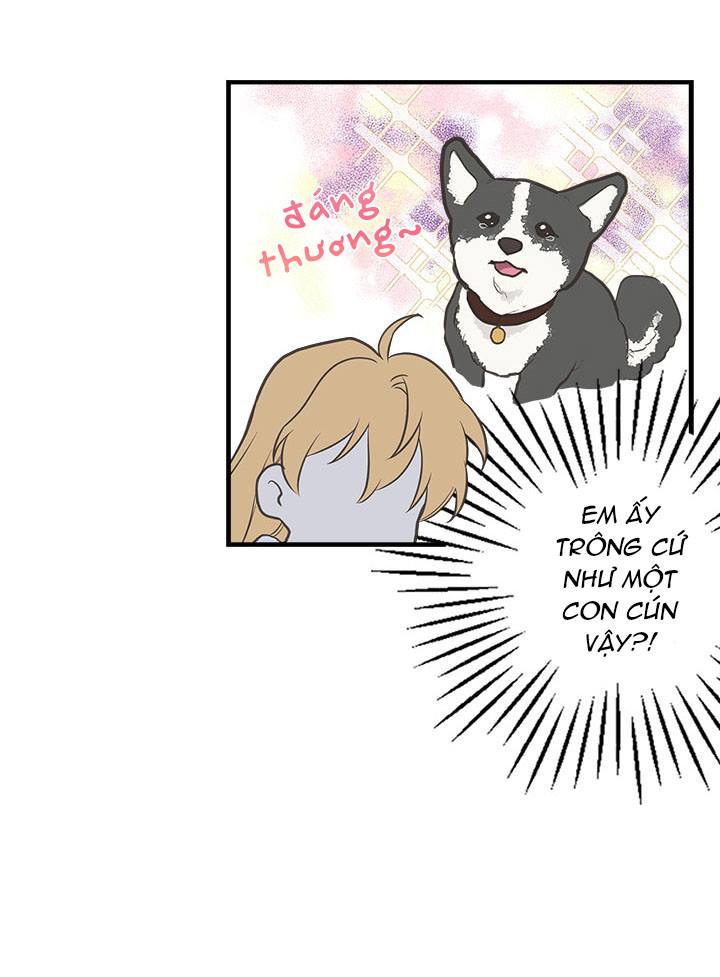 chị tôi đã nhặt về một nam chính quyến rũ chapter 12 41