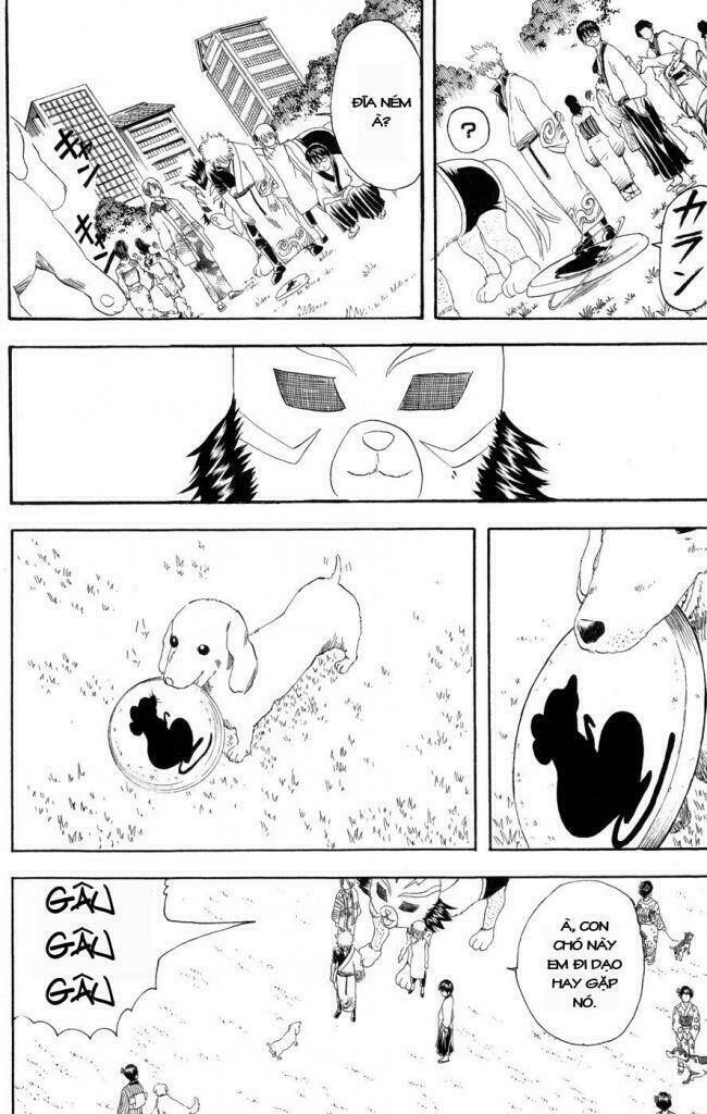 gintama - linh hồn bạc chapter 126 10