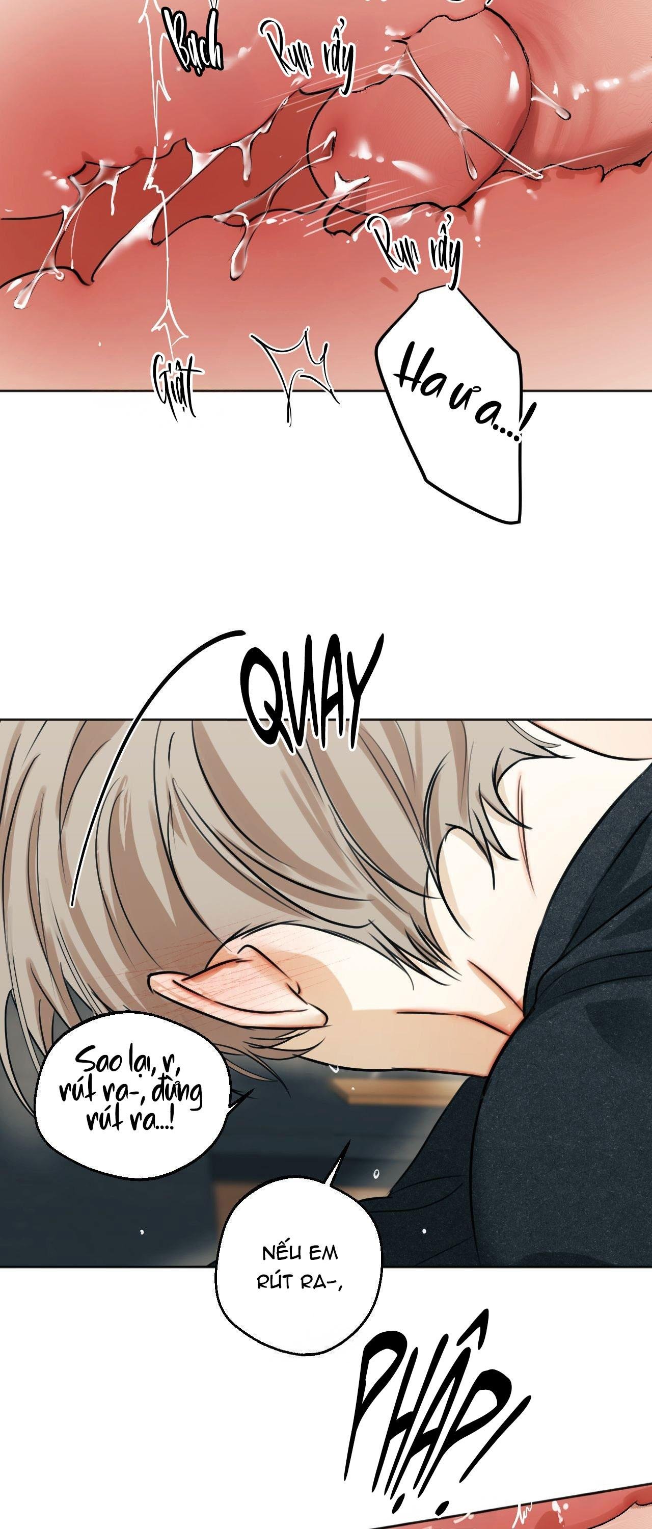 ái tình và dục vọng chapter 51 26