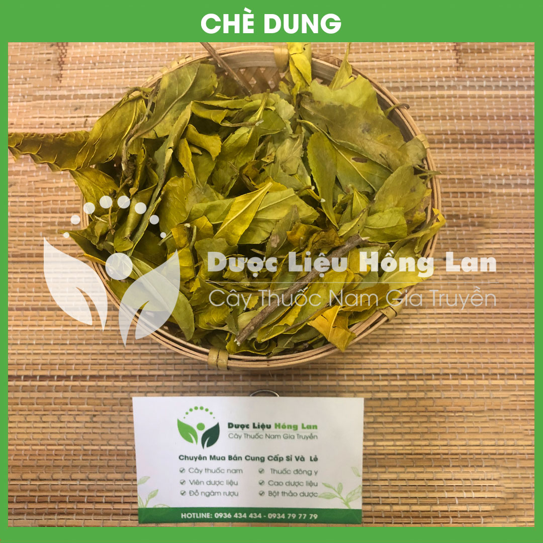 Lá Chè Dung loại 1 đóng gói 500g