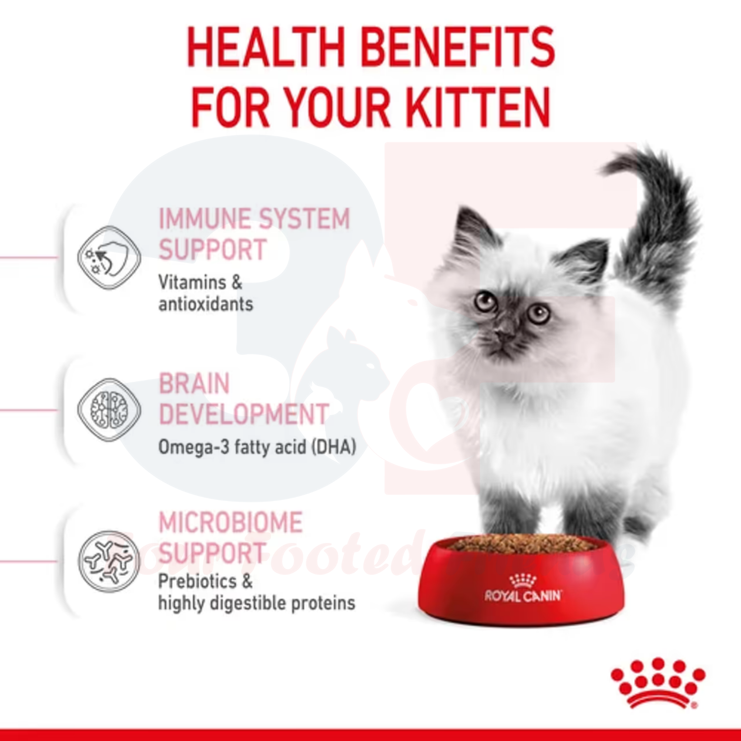 Thức Ăn Cho Mèo Con Từ 4-12 Tháng Tuổi Royal Canin Kitten 36