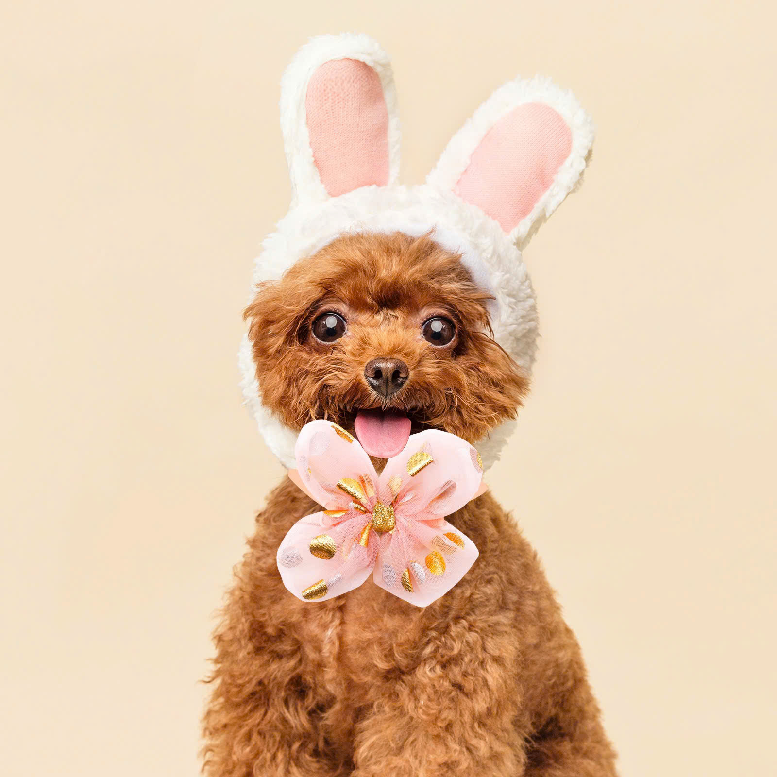 VÒNG CỔ THẮT NƠ DỄ THƯƠNG SANG TRỌNG NƠ REN ĐÍNH SEQUIN SIZE 22-40CM CHO THÚ CƯNG CHÓ MÈO