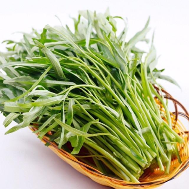 HẠT GIỐNG RAU MUỐNG LÁ TRE
