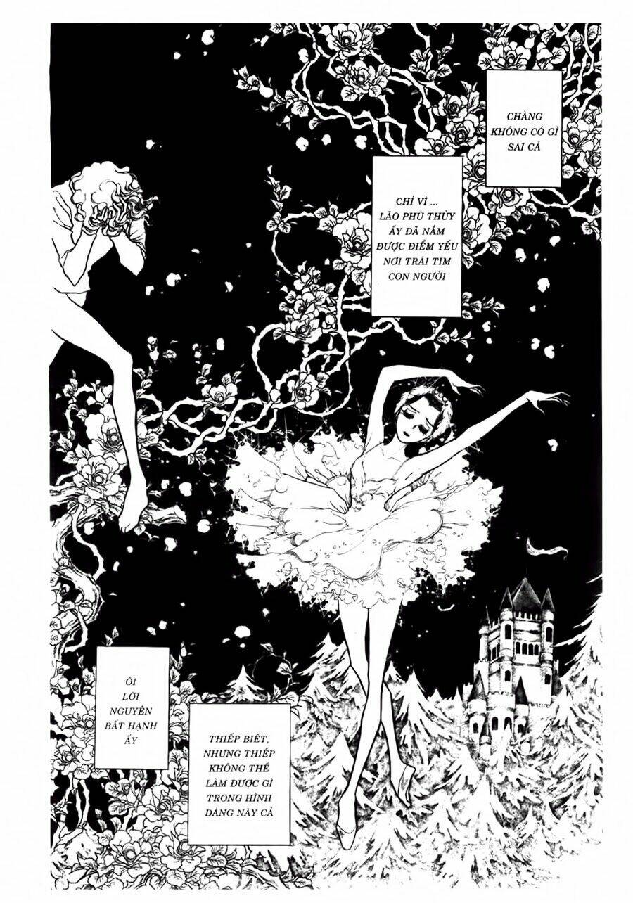 swan - vũ khúc thiên nga chapter 47 9