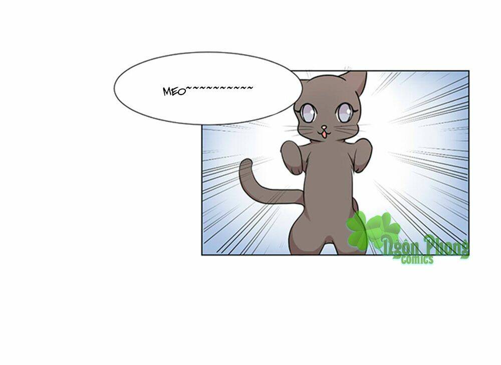 hai chú mèo totem chapter 39 11