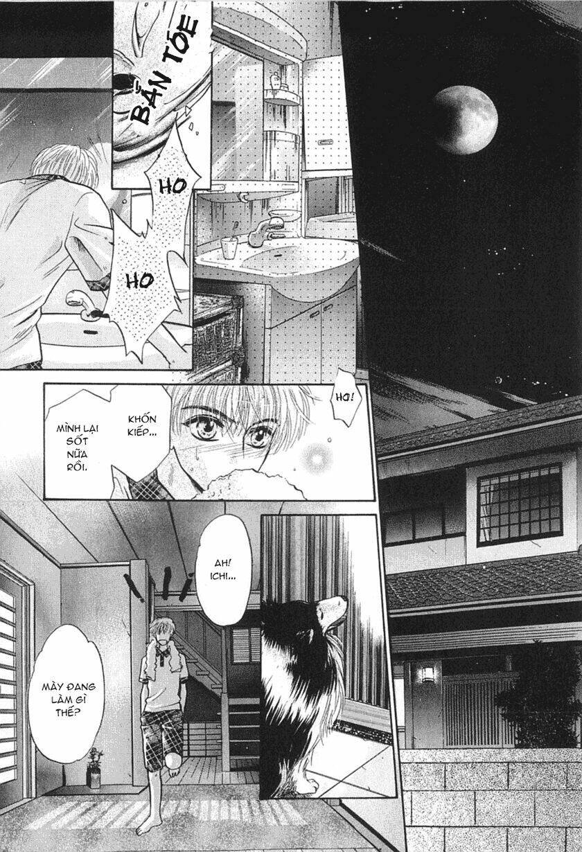 komatta toki ni wa hoshi ni kike! chapter 23 38