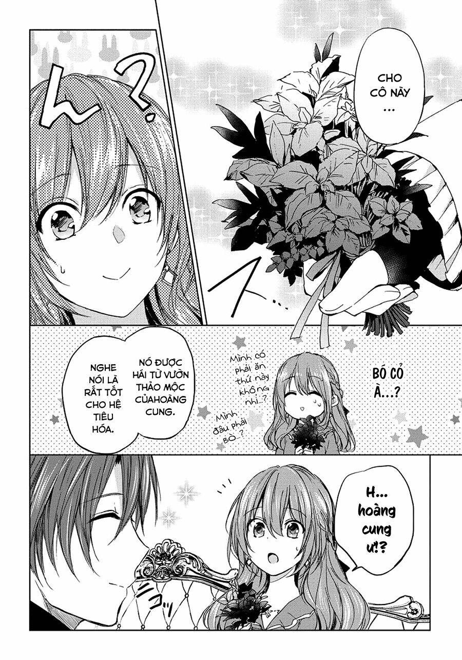 dareka kono joukyou wo setsumei shite kudasai! chapter 9 6