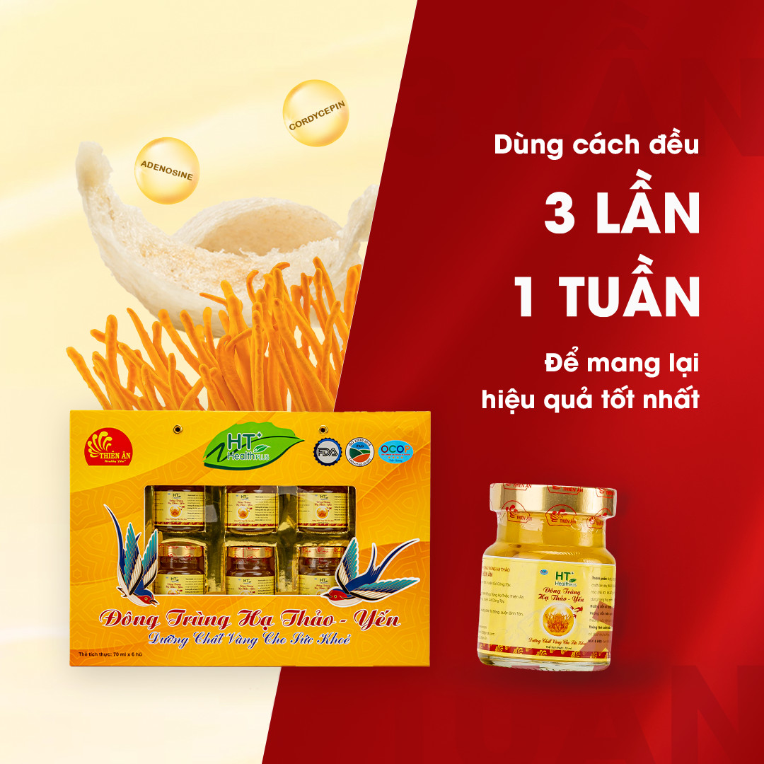 Đông Trùng Hạ Thảo Yến HT Thiên Ân - Hộp 6 Hũ