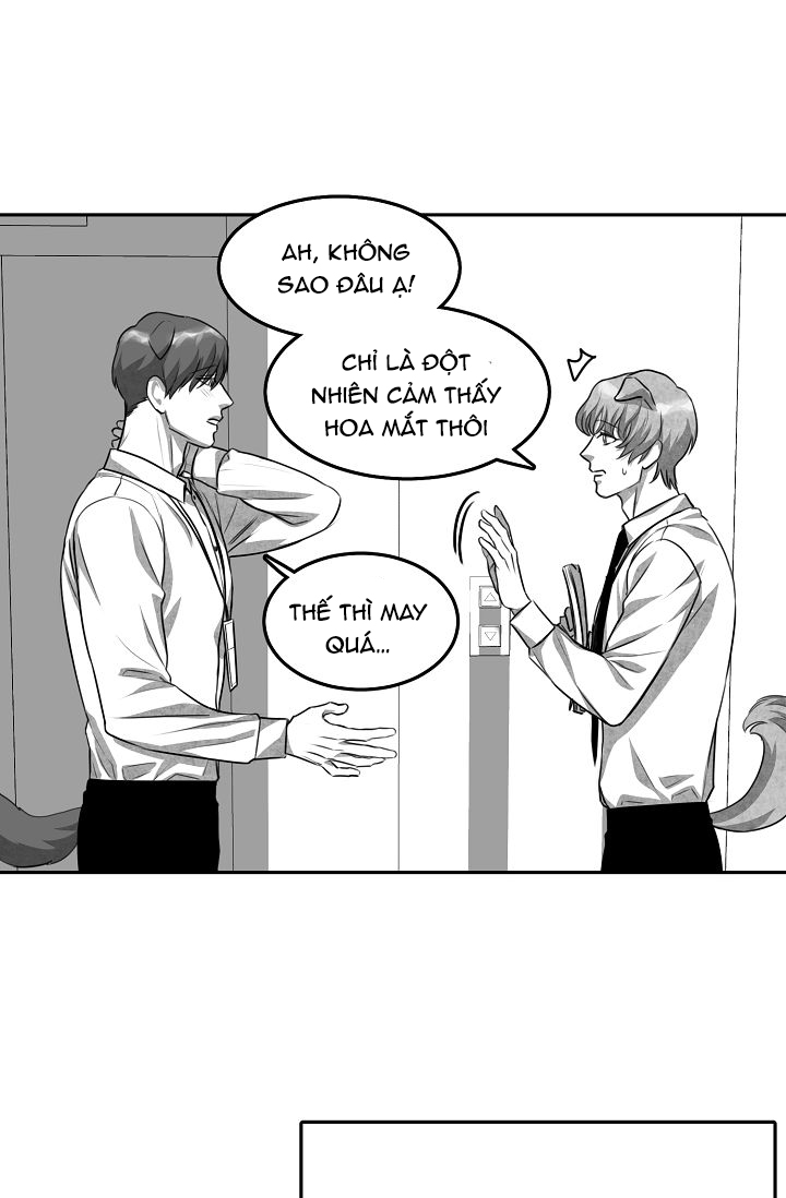 khi cún biết yêu chapter 2 25