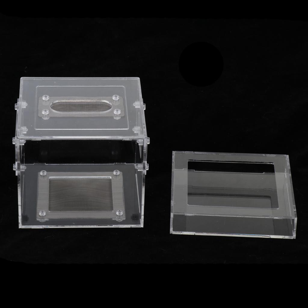 Small Reptile Lizard Spider Scorpion Insect Vivarium Feeding Rearing Box