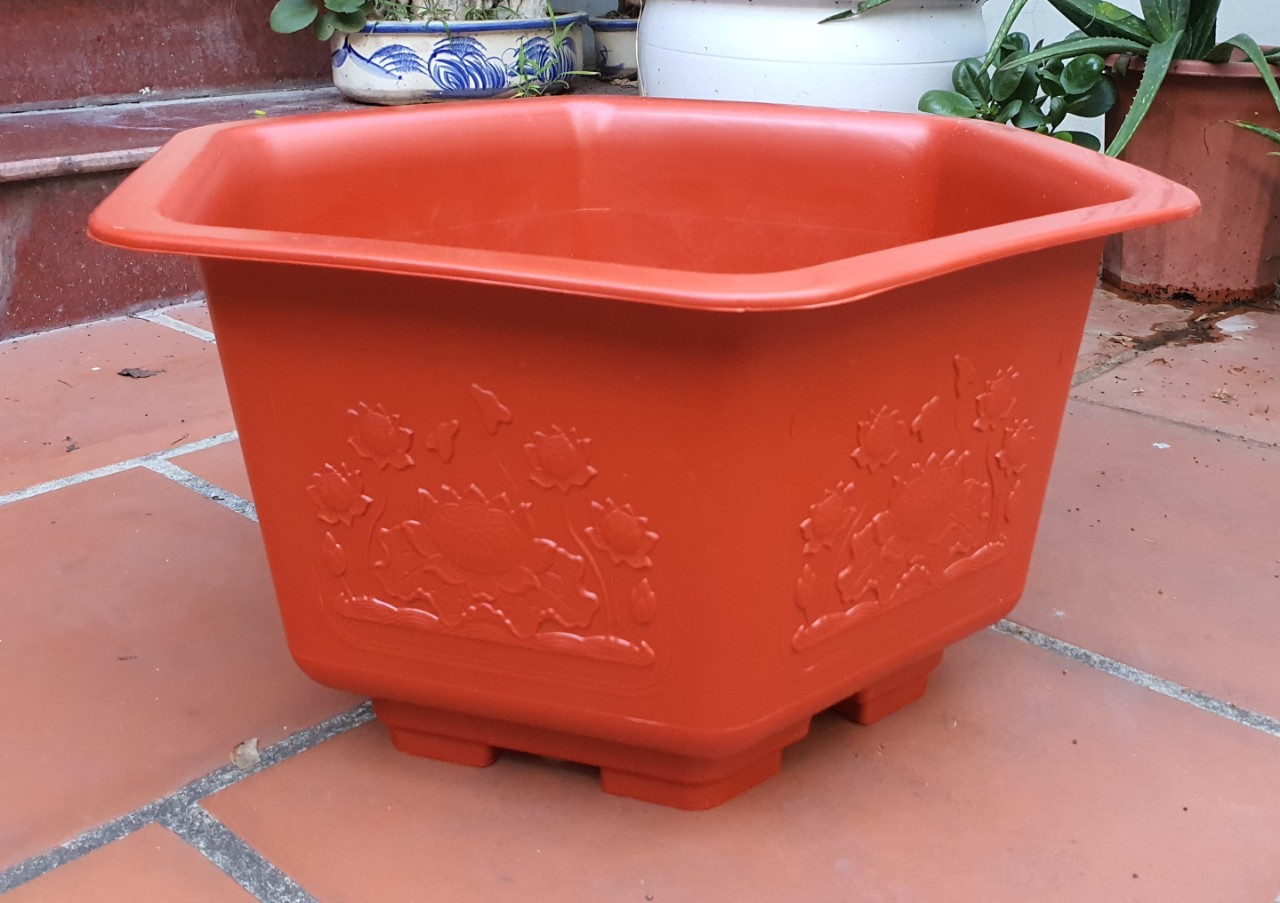 Chậu nhựa Lục giác thấp FAC 480 đỏ