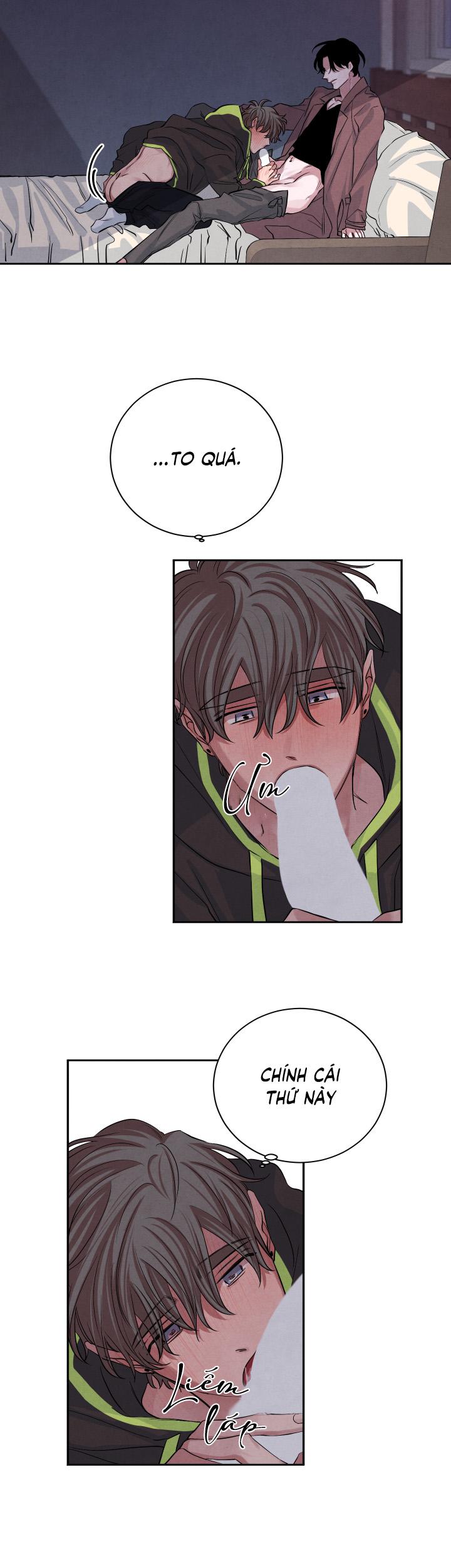 âm thanh của san hô chapter 28 3