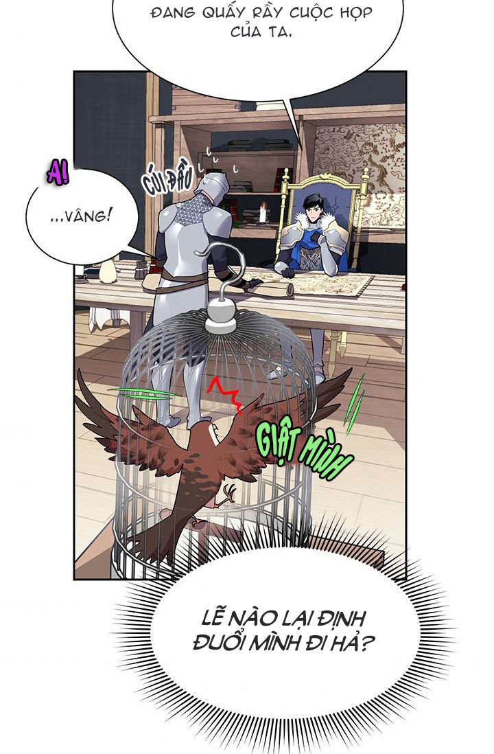 công chúa của loài chim chapter 8 3