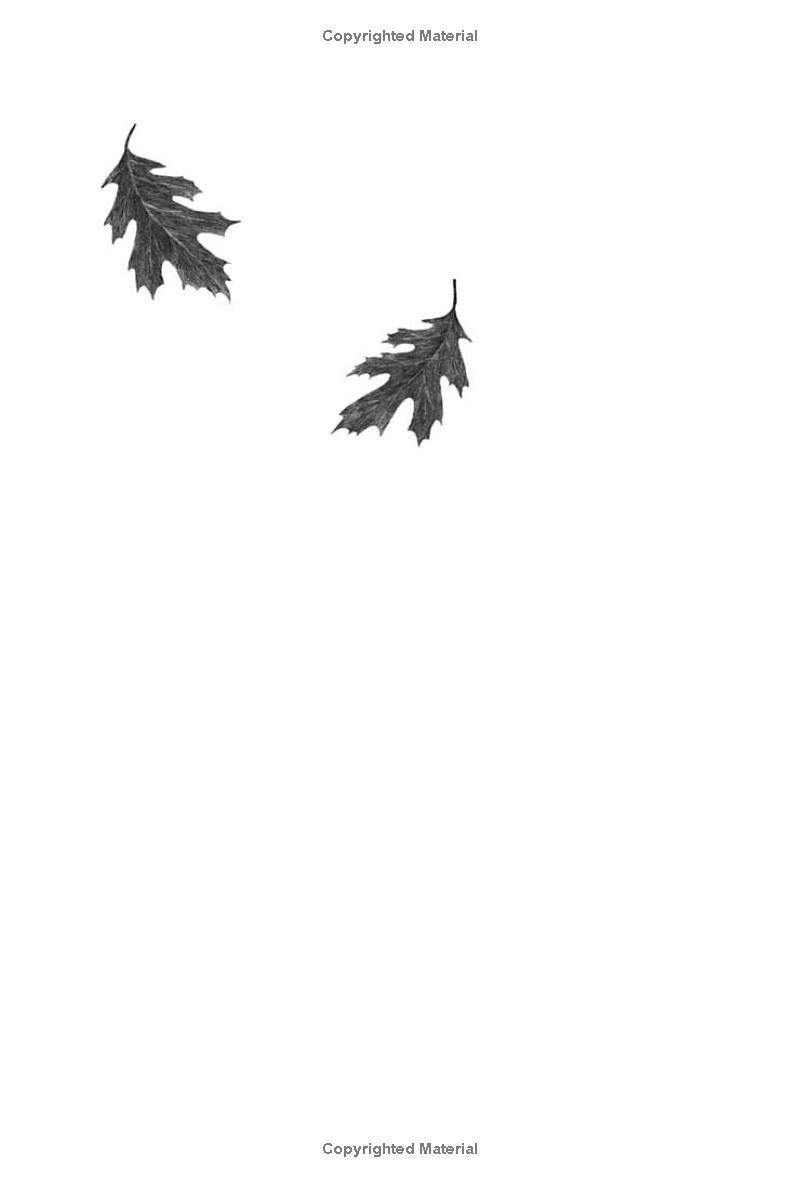 Sách ngoại văn: Wishtree