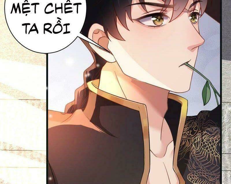 quận chúa vững vàng, thiết lập nhân vật không thể vỡ chapter 58 49