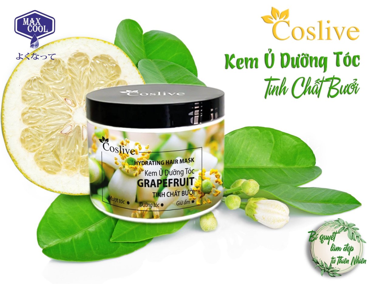 Kem Ủ Dưỡng Tóc Tinh Chất Bưởi Coslive 500gr